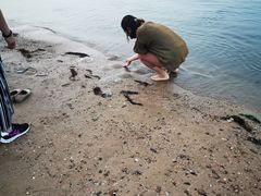 -东戴河风景区-止锚湾