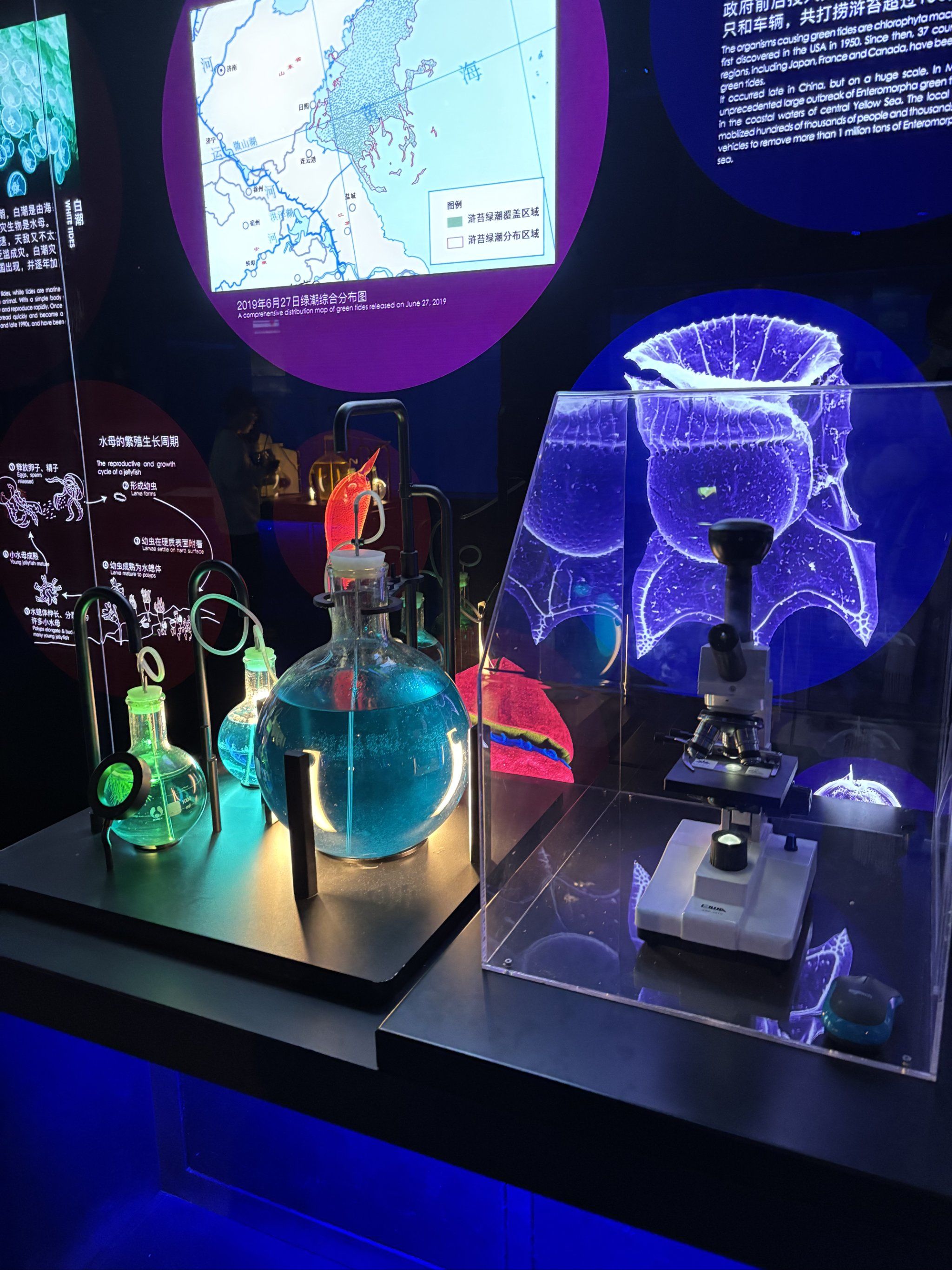 中国海洋博物馆展示之三