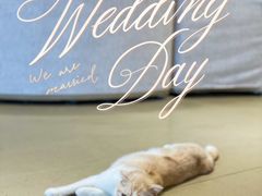 -藏猫猫咖啡主题馆(中央大道店)