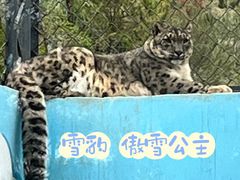 -青藏高原野生动物园