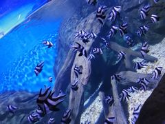 -水上乐园·欢乐世界