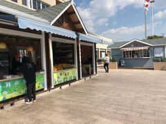 场地-平望服务区·停车场