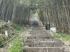 -潜山国家森林公园
