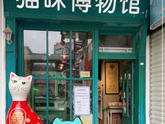 -猫咪博物馆(顶澳仔猫街店)