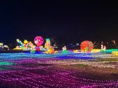 -亚龙湾国际玫瑰谷