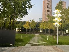 -重庆市江北嘴中央商务区中央公园