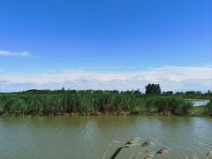 -泗洪洪泽湖湿地景区