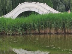 -康庄公园