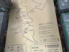 -千岛湖东南湖区