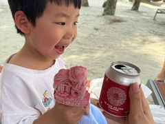 -新加坡水上探险乐园