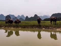 -Club Med地中海俱乐部·桂林度假村