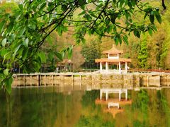 -深圳仙湖植物园