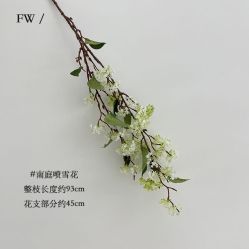 -小梨·OndaPro·专业脱毛连锁机构
