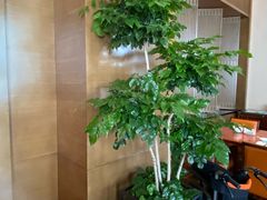 -阿纳迪酒店·悦餐厅