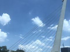 -杨氏青龙虾·羊蝎子(金盛路总店)