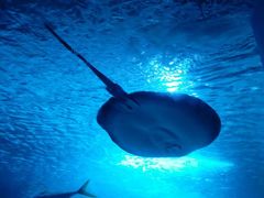 -常州海昌海洋探索馆
