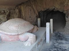 -上海佘山国家森林公园天马山园