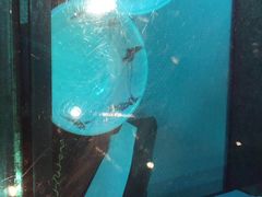 -辛香汇(大华第一坊店)