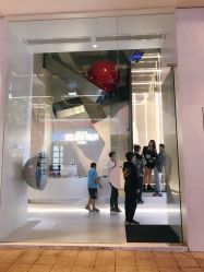 点击看大图 -金棕榈