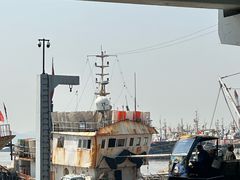 -中国舟山国际水产城