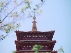 -牛首山文化旅游区