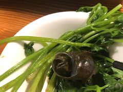 -食爺炭炉鸡煲·烧烤