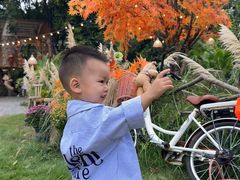 -HERRE·FARM 赫尔露营农场·团建聚会包场