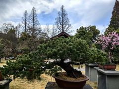 -杭州植物园