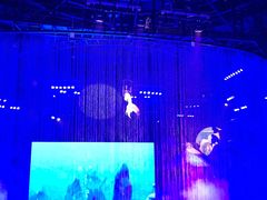 -芜湖新华联大白鲸海洋公园