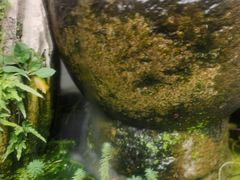 -古韵餐厅(湖畔大学店)