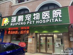 -瑞鹏宠物医院·宠保定点·心脏科·内科(御桥分院)