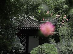 -上海醉白池公园