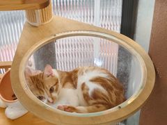 -江南西(地铁站)