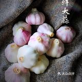 减肥菜谱｜酸甜可口的腌糖蒜