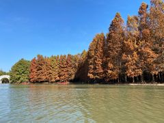 -上海海湾国家森林公园