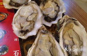 Softshell Turtle and Oyster Stew