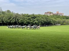 -广州雕塑公园