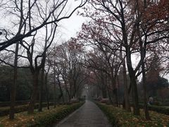 -灵谷景区