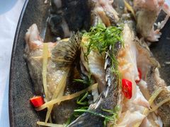 -阿尔法海鲜排档(爱琴海店)