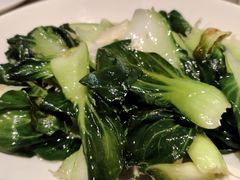 -佬肥猫(七宝宝龙店)