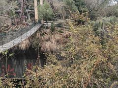 -千岛湖东南湖区