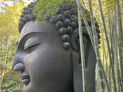 -杭州植物园