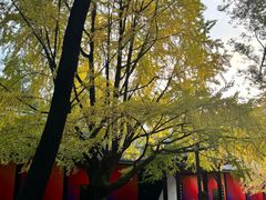 -成都武侯祠博物馆