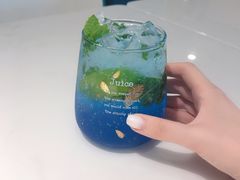 -飞行喵MR PILOT|猫舍·猫咖(静安大融城店)