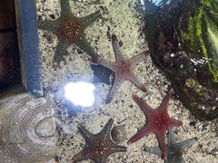 -嘉兴海底世界