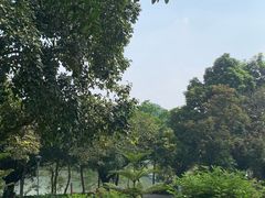 -东莞植物园