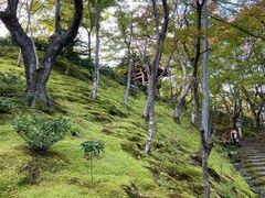 -常寂光寺