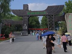 -溱湖国家湿地公园