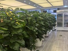 -东田运动(望京店)