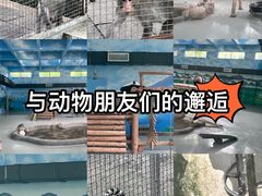 -柳州市动物园